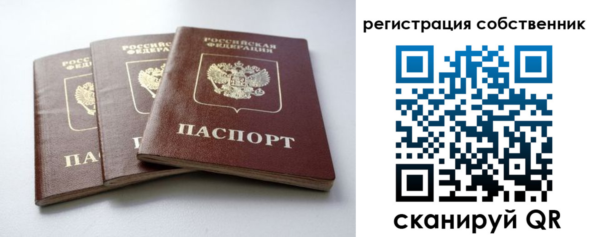 прописка для школы в Чайковском